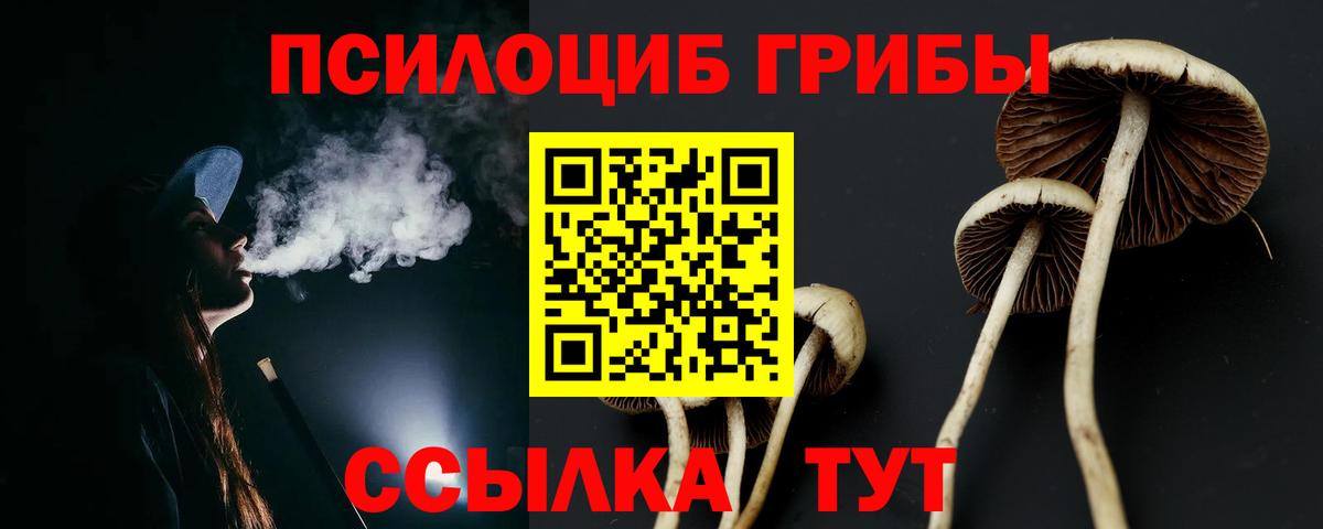 Галлюциногенные грибы прущие грибы Тулун